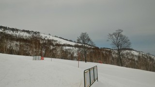 P_20190329_132219.jpg