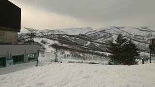 P_20190329_134303.jpg