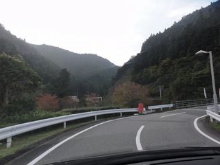 DSC03495.jpg