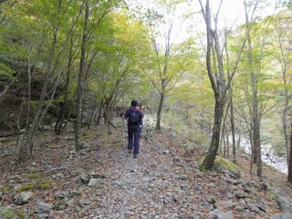 DSC03519.jpg