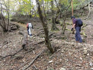 DSC03530.jpg