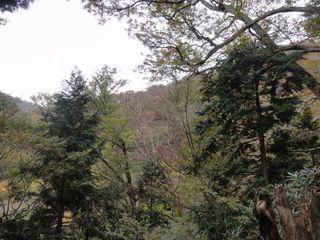 DSC03537.jpg