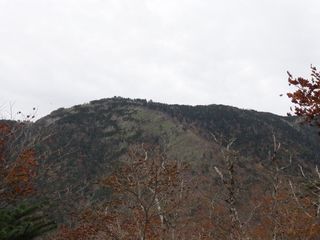 DSC03577.jpg