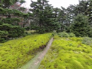 DSC03633.jpg