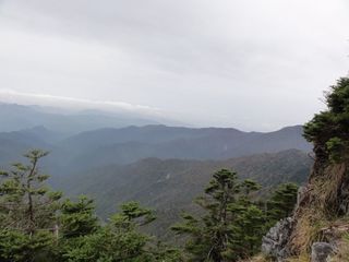 DSC03677.jpg