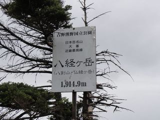 DSC03687.jpg