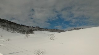 P_20190123_101616.jpg