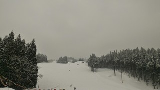P_20190324_145059.jpg