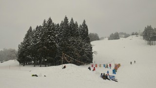 P_20190324_145104.jpg