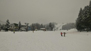 P_20190324_145123.jpg