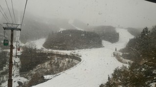 P_20190402_102814.jpg