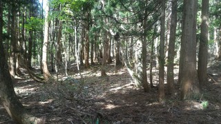 P_20190510_095429.jpg