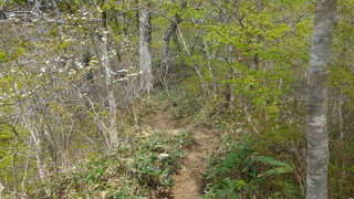 P_20190510_122055.jpg