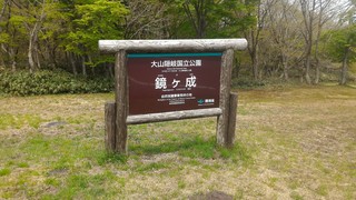 P_20190510_131145.jpg